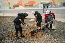 Сотрудники КРІ провели традиционную акцию по посадке деревьев